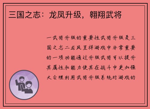 三国之志：龙凤升级，翱翔武将